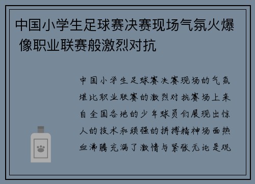 中国小学生足球赛决赛现场气氛火爆 像职业联赛般激烈对抗